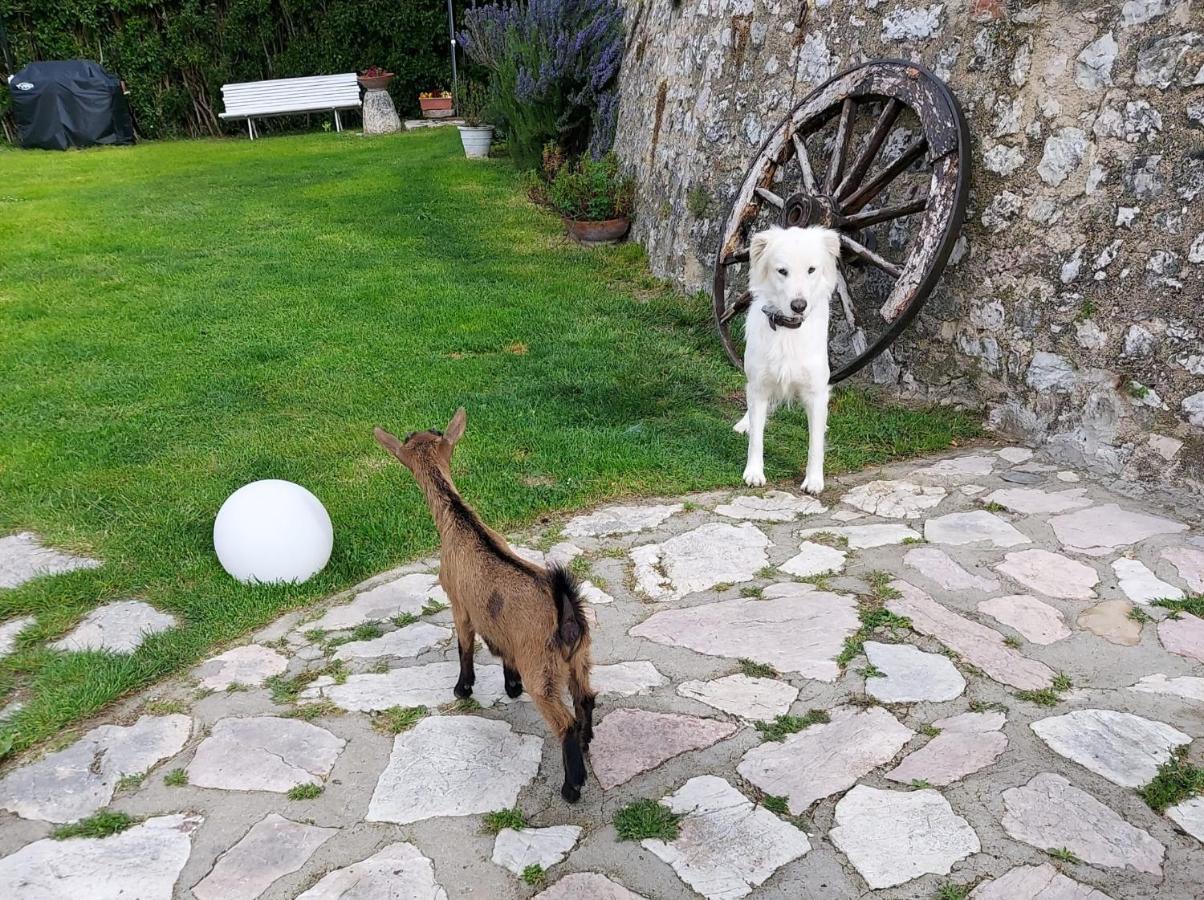 Agriturismo Campagna In Compagnia Vallo di Nera Bagian luar foto