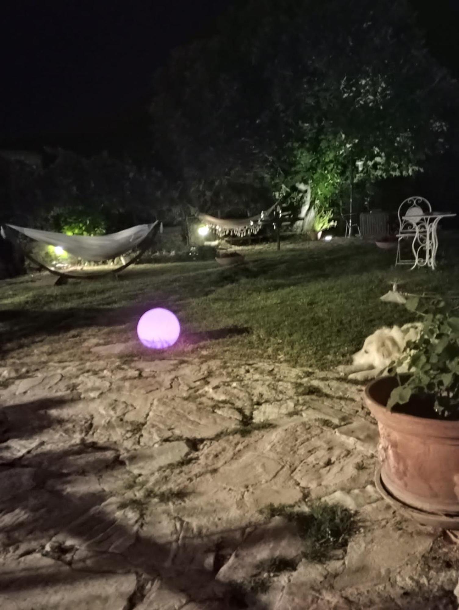 Agriturismo Campagna In Compagnia Vallo di Nera Bagian luar foto