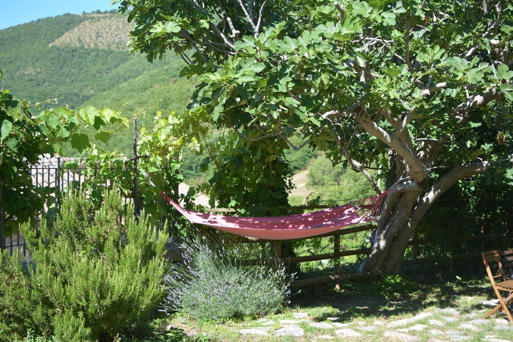 Agriturismo Campagna In Compagnia Vallo di Nera Bagian luar foto