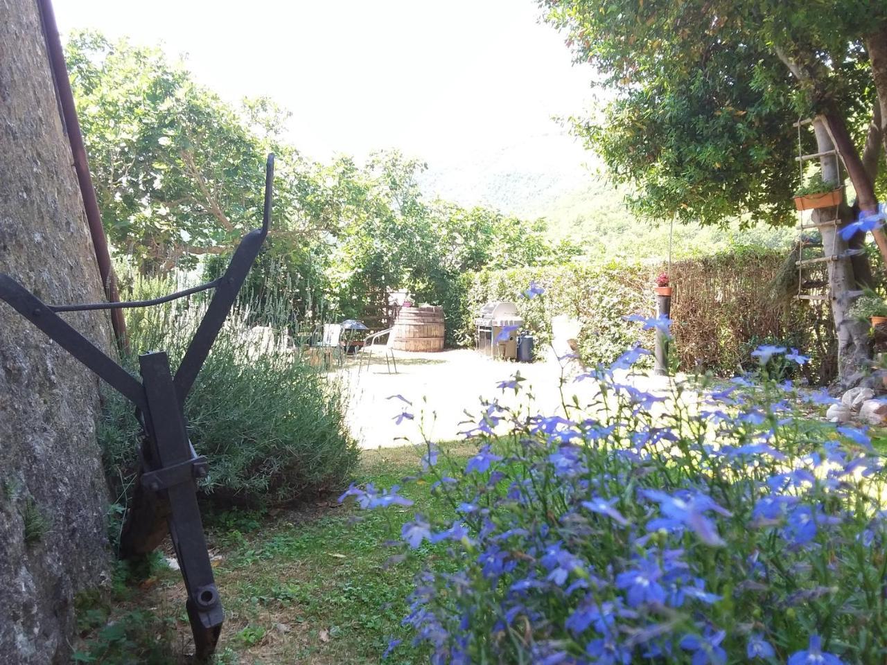 Agriturismo Campagna In Compagnia Vallo di Nera Bagian luar foto